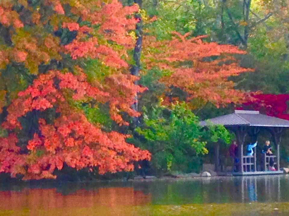 Autumn in New York